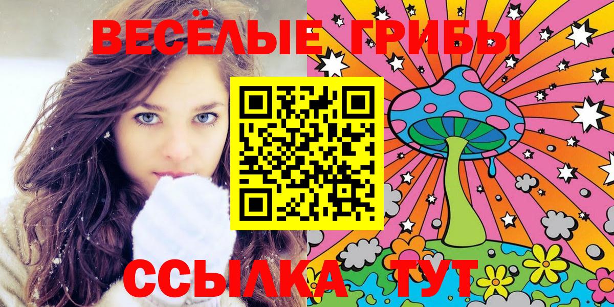 купить  сайты  Вход с VPN  Тара  Псилоцибиновые грибы мухоморы 